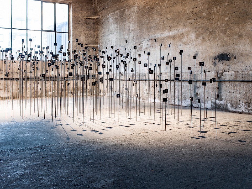 The installation becomes part of the space